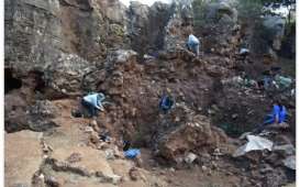 Ilmuwan Temukan Fosil Homo Erectus di Afrika Selatan