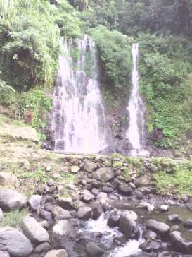 Intip Keunikan Air Terjun Kembar di Banyuwangi