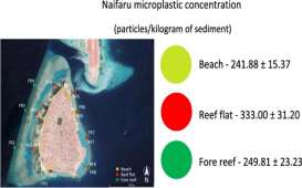 Tingkat Polusi Mikro Plastik di Maladewa Tertinggi di Planet Ini