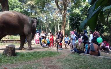 Libur Panjang, Kebun Binatang Bandung Diserbu Wisatawan