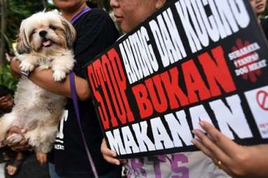 8.000-an Ekor Anjing Dipotong di Soloraya Tiap Bulan