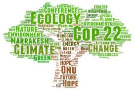 Perubahan Iklim dan Efek The Green Swan dalam Pemulihan Ekonomi