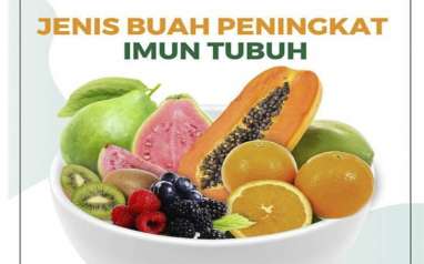 Jenis Buah Peningkat Imun Tubuh