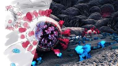 Astaga! Tujuh Varian Baru Virus Corona Bermutasi di Amerika Serikat