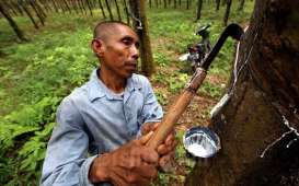 Pengenaan Tanggung Jawab Lingkungan Harus Rasional dan Terukur