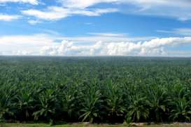 Sampoerna Agro (SGRO) Emisi Obligasi dan Sukuk Ijarah Rp569,5 Miliar