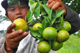 Urgensi Hilirisasi Produk Pertanian Untuk Pariwisata Bali