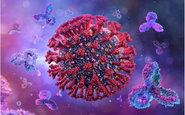 Bukan Virus Corona, Ini Virus Paling Berisiko Tinggi Picu Pandemi Fatal di Dunia