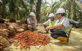 Demi Sertifikasi RSPO, Cargill Gelontorkan Dana Rp2,5 Miliar 