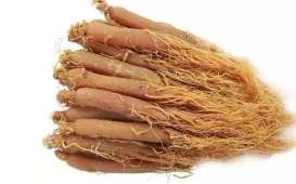 Ginseng Merah Korea Diklaim Bisa Jadi Booster Kinerja Vaksin Covid-19