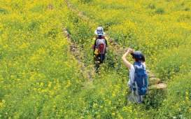 Jalur Jeju Olle, Rekomendasi Tempat Hiking Indah di Korea Selatan