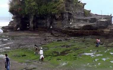 Desa Adat di Bali Bentuk Badan Usaha