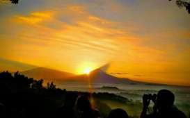Tak Hanya Spot Sunrise, Desa Wisata Karangrejo Punya Homestay Berkelas Dunia