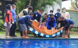 Warga Cirebon Berlatih Tangani Mamalia Laut Terdampar