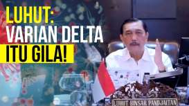 Menko Luhut: Varian Delta Itu Gila!