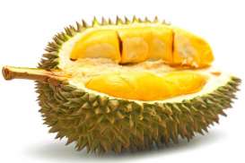 Pecinta Durian, Ini Lho 6 Manfaat Makan Buah Beraroma Khas Itu