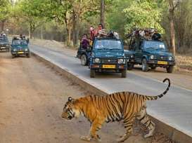 8 Tempat Wisata di India yang Bisa Dikunjungi Bersama Sahabat