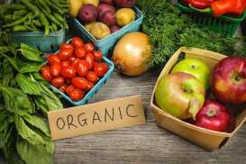 ORGANIK : Segarnya Sayur Organik