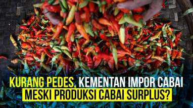 Pasokan Surplus, Kenapa Kementan Impor Cabai?