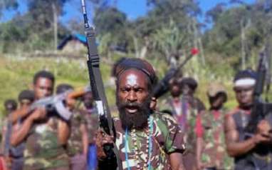 Konflik KKB di Papua Tak Kunjung Usai, MPR Singgung Penanganan Aparat