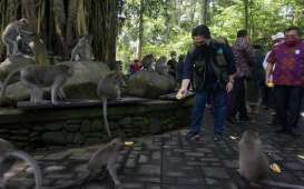 Monkey Forest Ubud Dapat Bantuan dari Kementerian BUMN