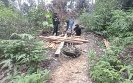 Tangkap Pembalak di Taman Nasional Gunung Leuser, Petugas Diadang Massa