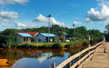 Dukung Ketahanan Pangan, PLN Siap Pasok Listrik untuk Food Estate di Kalimantan Tengah