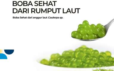 Sehat dan Nikmat dengan Boba Rumput Laut, Mau Coba?