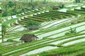 Kinerja Ekonomi Bali Kuartal III, Sektor Pertanian Terkontraksi