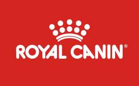 Duh! Harga Royal Canin Naik per April 2022, Ini Sebabnya