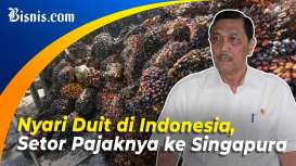  Ada Perusahaan Sawit RI Bayar Pajak di Singapura, Luhut Geram!