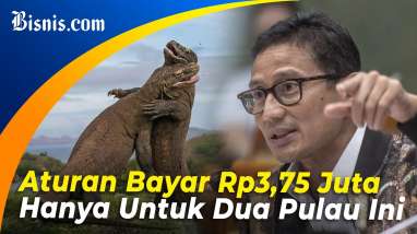 Sah, Tarif Masuk Taman Nasional Komodo Rp3,75 Juta