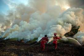 Gelombang Panas di Eropa Sebabkan Ribuan Hektare Lahan Terbakar dan Lebih dari 16 Ribu Orang Mengungsi