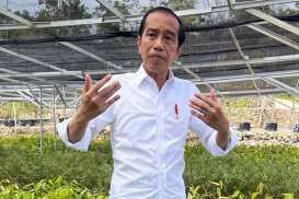 Pengamat: Jokowi Effect Belum Memberi Insentif Elektoral Terhadap Bakal Capres 