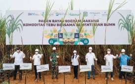 Pupuk Indonesia: Program Makmur Tingkatkan Produktivitas Tebu