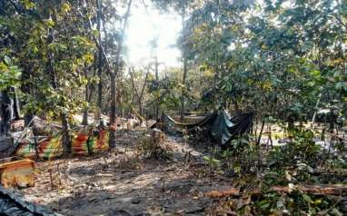 Pemkab Musi Banyuasin Sebut Semburan Minyak Ilegal Telah Terkendali