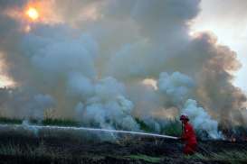 Karhutla di Sumsel Bergeser dari Lahan Gambut ke Mineral