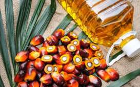 Opini: Strategi Palm Co & Bisnis Sawit Dunia
