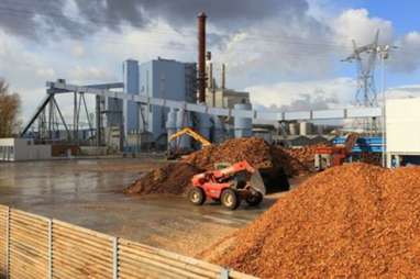 Pemerintah Targetkan Biomassa Berbasis Kayu untuk Transisi Energi
