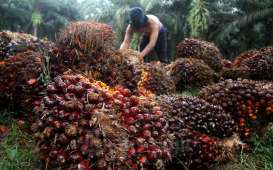 Top 5 News BisnisIndonesia.id: Emiten CPO- Naiknya Alokasi Biodiesel 2023