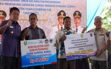 OKI Jadi Kawasan Pengembangan Jagung Berbasis Korporasi Petani