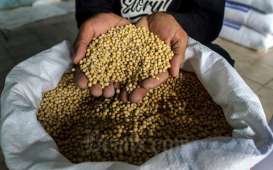 Impor Belum Sampai, Zulhas Minta Maaf Harga Kedelai Mahal