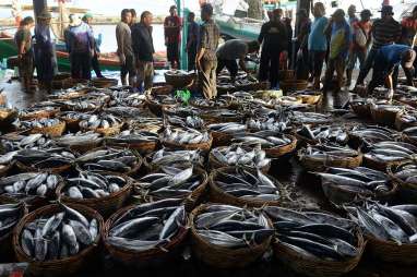 OPINI : Kewajiban Pelelangan Ikan