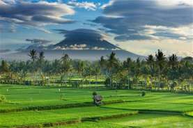 Kualitas Desa Wisata di Bali Perlu Ditingkatkan