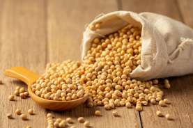 Kandungan dan Manfaat Kacang Kedelai bagi kesehatan