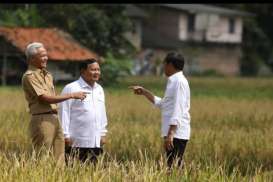 Jokowi Akui Kesulitan Seimbangkan Harga Beras dan Gabah Petani