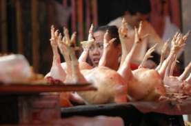 Harga Daging Ayam di Jember Melandai di Awal Ramadan