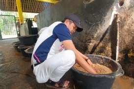 Lembur Pakuan Jadi Laboratorium Lingkungan dan Pertanian Organik di Kabupaten Subang