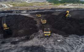 Mengintip Proyek PLTU Adaro di Smelter Raksasa Rp29 Triliun yang Diprotes Greenpeace