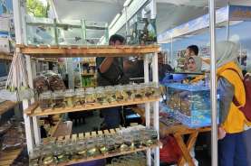 Wangi Duren dan Ragam Ikan Cupang di Inaugurasi Petani Milenial 2022